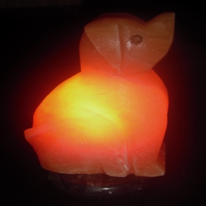 Dog Salt Lamp